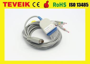 Kabel Edan EKG untuk SE-12 Express SE-3 SE-601A DB 15 pin 10 lead wire