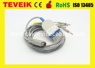 Kabel Edan EKG untuk SE-12 Express SE-3 SE-601A DB 15 pin 10 lead wire